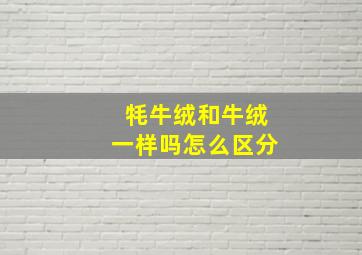 牦牛绒和牛绒一样吗怎么区分