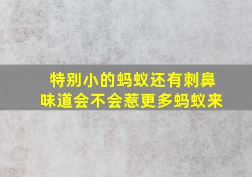 特别小的蚂蚁还有刺鼻味道会不会惹更多蚂蚁来