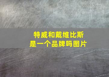 特威和戴维比斯是一个品牌吗图片