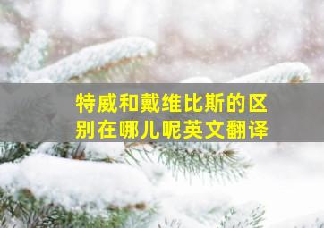 特威和戴维比斯的区别在哪儿呢英文翻译