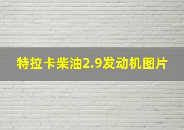 特拉卡柴油2.9发动机图片