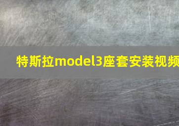 特斯拉model3座套安装视频