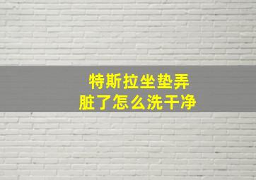 特斯拉坐垫弄脏了怎么洗干净