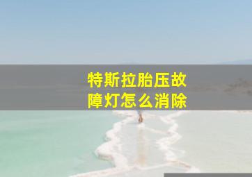 特斯拉胎压故障灯怎么消除