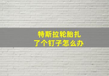 特斯拉轮胎扎了个钉子怎么办