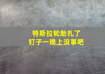 特斯拉轮胎扎了钉子一晚上没事吧