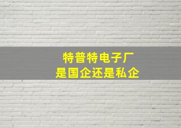 特普特电子厂是国企还是私企