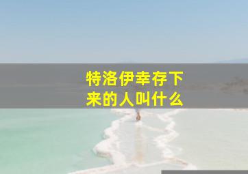 特洛伊幸存下来的人叫什么