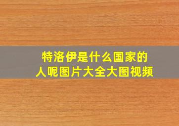 特洛伊是什么国家的人呢图片大全大图视频