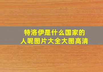 特洛伊是什么国家的人呢图片大全大图高清