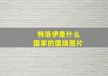 特洛伊是什么国家的国旗图片