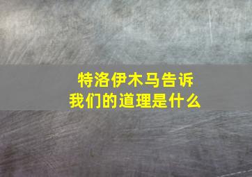 特洛伊木马告诉我们的道理是什么