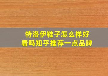 特洛伊鞋子怎么样好看吗知乎推荐一点品牌