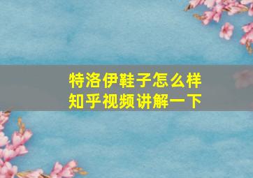 特洛伊鞋子怎么样知乎视频讲解一下