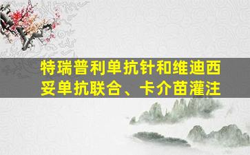 特瑞普利单抗针和维迪西妥单抗联合、卡介苗灌注