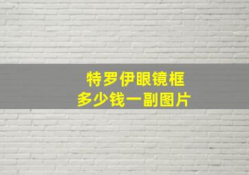 特罗伊眼镜框多少钱一副图片