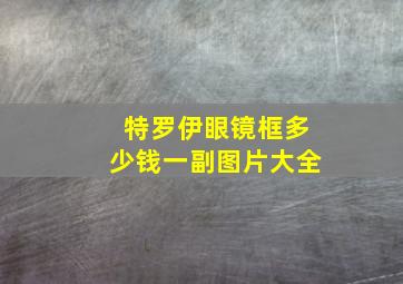 特罗伊眼镜框多少钱一副图片大全