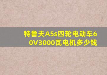 特鲁夫A5s四轮电动车60V3000瓦电机多少钱