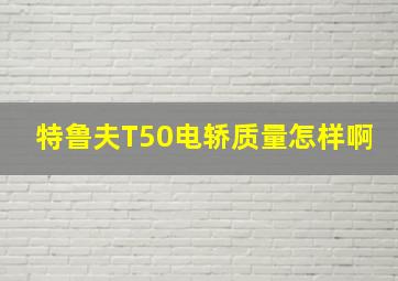 特鲁夫T50电轿质量怎样啊