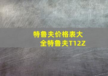 特鲁夫价格表大全特鲁夫T12Z