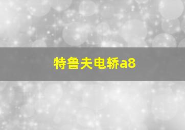 特鲁夫电轿a8