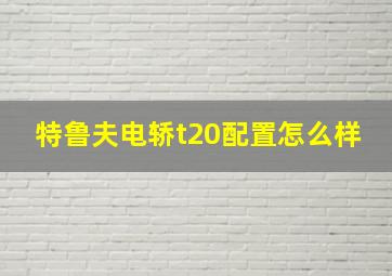 特鲁夫电轿t20配置怎么样