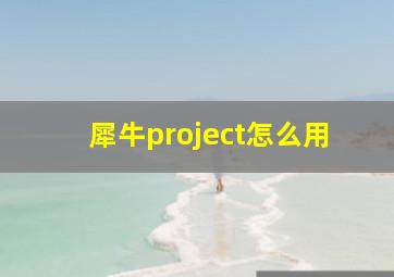 犀牛project怎么用