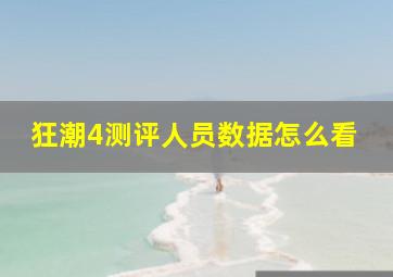 狂潮4测评人员数据怎么看