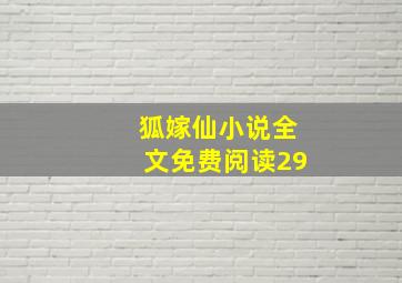 狐嫁仙小说全文免费阅读29