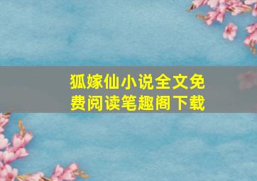 狐嫁仙小说全文免费阅读笔趣阁下载