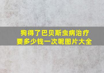 狗得了巴贝斯虫病治疗要多少钱一次呢图片大全