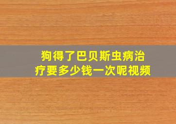 狗得了巴贝斯虫病治疗要多少钱一次呢视频