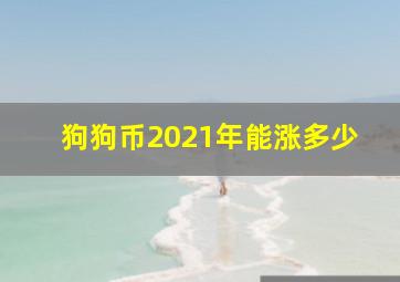 狗狗币2021年能涨多少