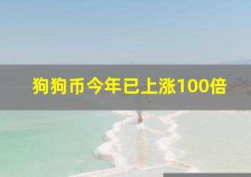 狗狗币今年已上涨100倍