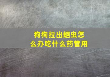 狗狗拉出蛔虫怎么办吃什么药管用