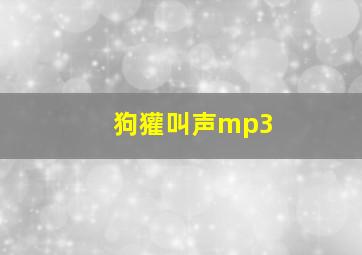 狗獾叫声mp3