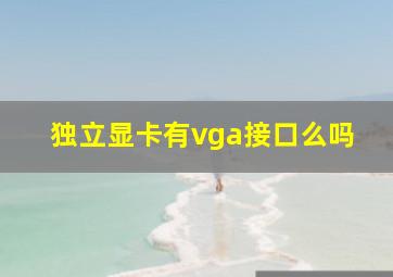 独立显卡有vga接口么吗