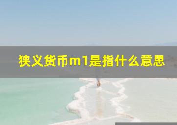 狭义货币m1是指什么意思