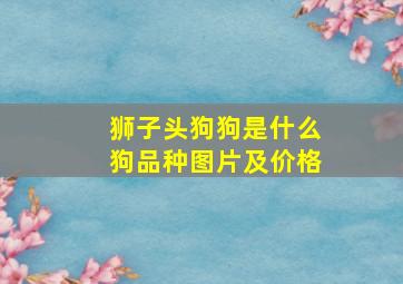 狮子头狗狗是什么狗品种图片及价格