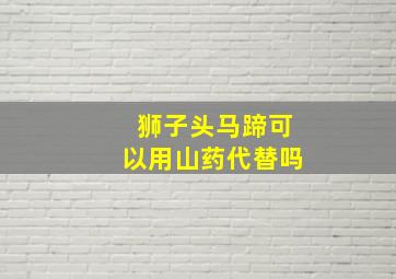 狮子头马蹄可以用山药代替吗