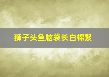 狮子头鱼脑袋长白棉絮