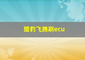 猎豹飞腾刷ecu