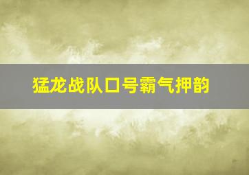 猛龙战队口号霸气押韵