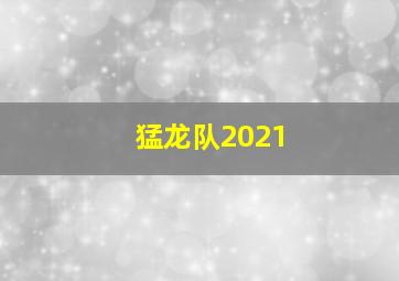 猛龙队2021