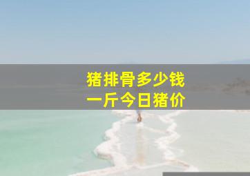 猪排骨多少钱一斤今日猪价