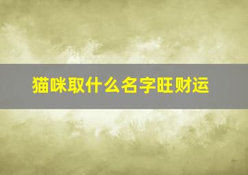 猫咪取什么名字旺财运