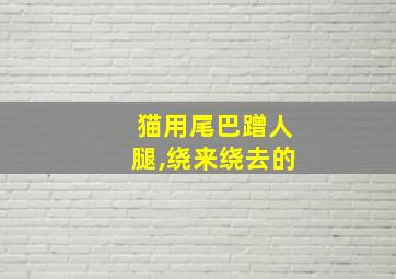 猫用尾巴蹭人腿,绕来绕去的