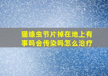 猫绦虫节片掉在地上有事吗会传染吗怎么治疗