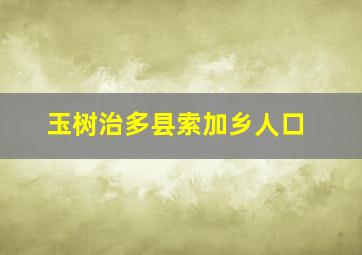 玉树治多县索加乡人口