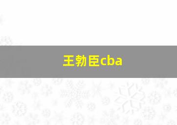 王勃臣cba